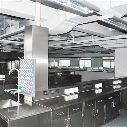 Laboratorní laboratorní laboratoř z nerezové oceli s dřezem